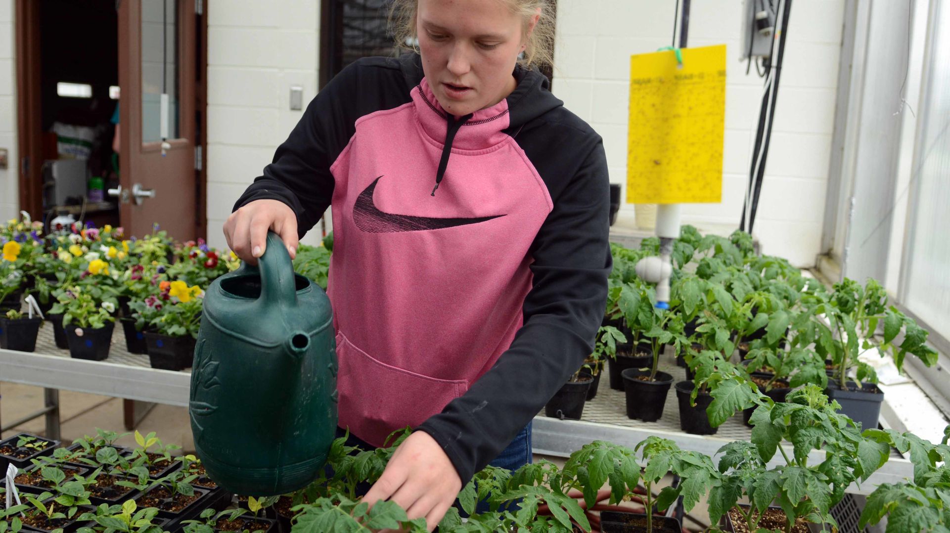 Baraboo High School students prepare for annual plant sale